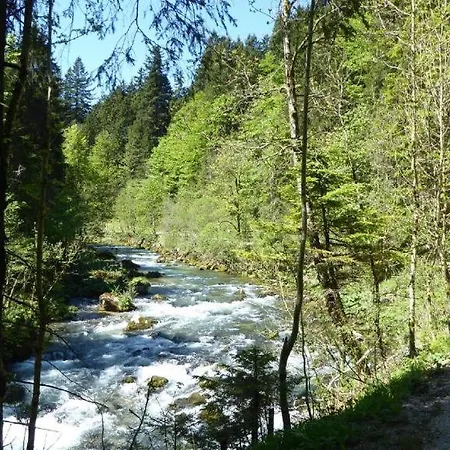 Daire Fw Weissensee 44 *