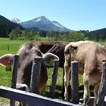 Fw Weissensee 44 شقة Füssen