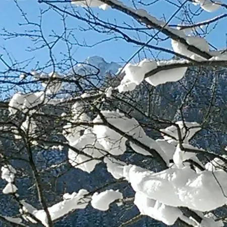Fw Weissensee 44