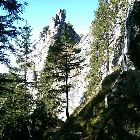 Fw Weissensee 44 * Фюссен