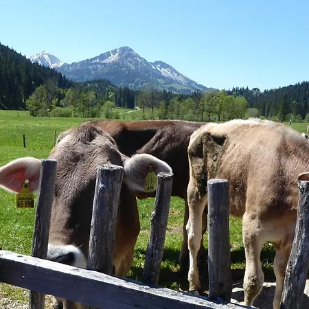 Fw Weissensee 44 Апартаменты Фюссен