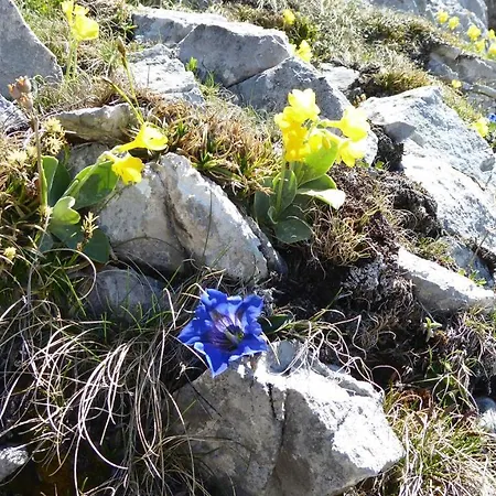 Апартаменты Fw Weissensee 44