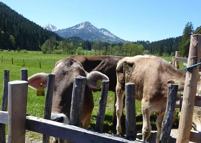 Fw Weissensee 44 Апартаменты Фюссен