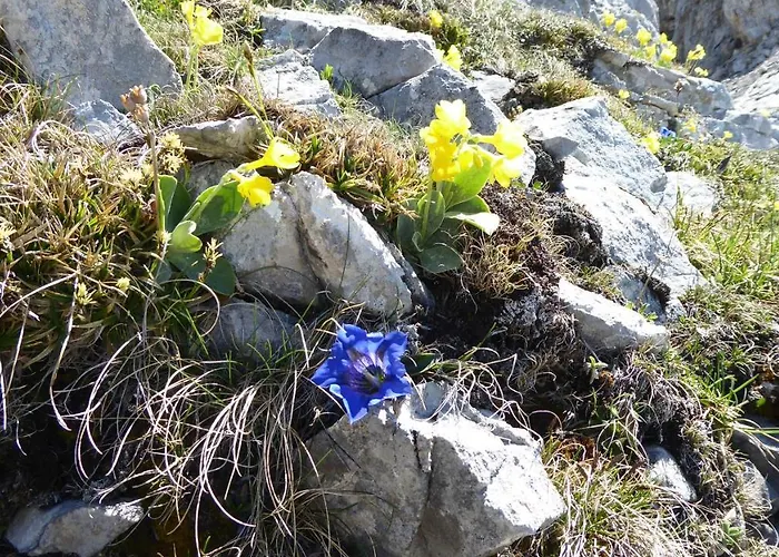 Апартаменты Fw Weissensee 44